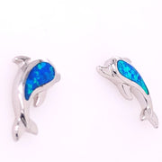 Marea Cute Dolphin Earrings - 42542