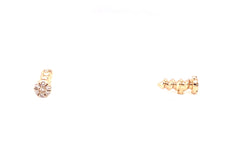 Earrings 55681