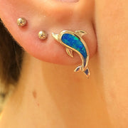 Marea Cute Dolphin Earrings - 42542