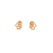 Trebor Stud Earrings - 69620