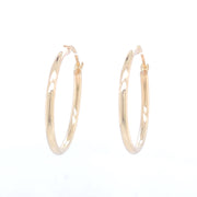 Polished Hoops Earrings 58128