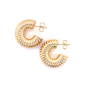 Bolle Curve Hoops Earrings - 70566