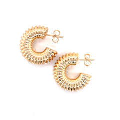 Bolle Curve Hoops Earrings - 70566