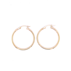 Polished Hoops Earrings 58119