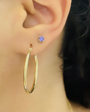 Classic Hoops Earrings - 72173