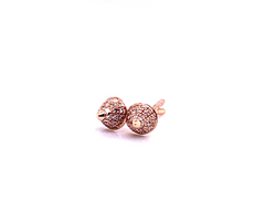 Earrings 54731